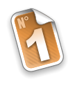 1 N